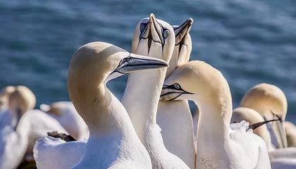 开云体育平台-中小城市体育服务供给侧结构优化研究，体育产业供给侧结构性改革