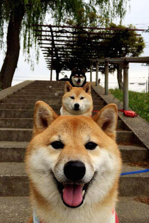 博卡后卫出球被迫频繁回传,博卡的主场是哪个球场