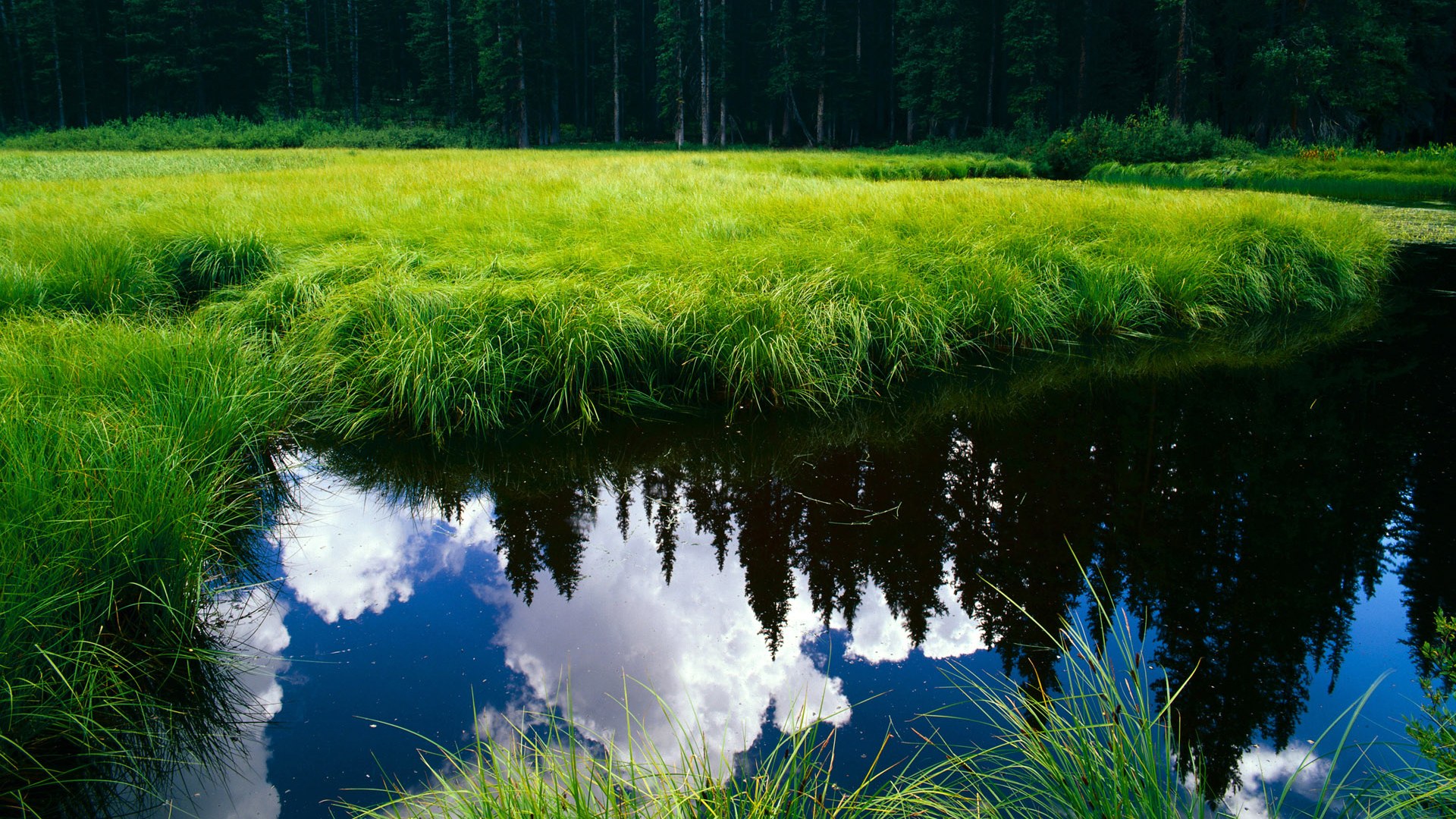 国家队心理建设体系需系统化,社会心理体系建设