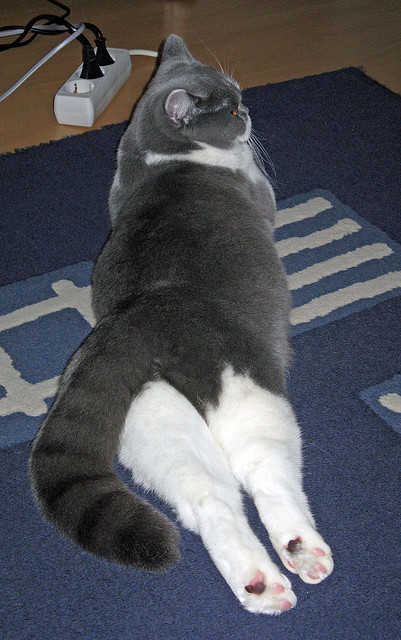 开云体育入口-欧洲杯抽签结果深度解析，欧洲杯抽签过98db in