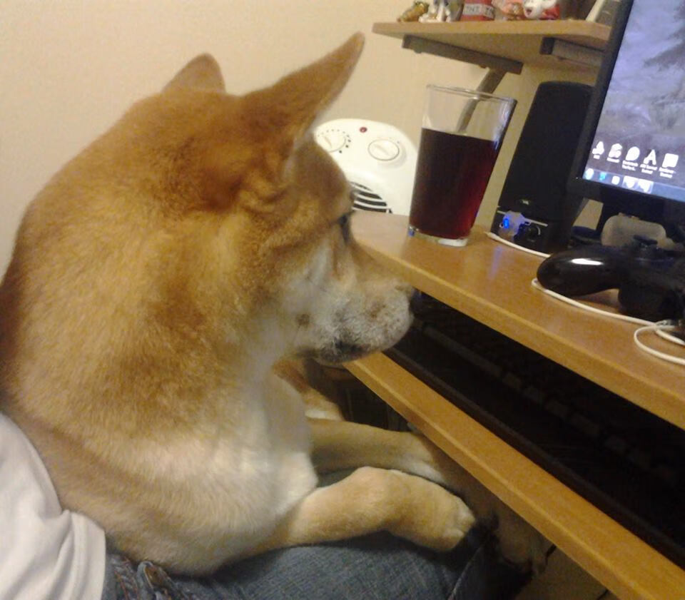 开云体育app下载-沃尔什全美蝶泳榜再登巅峰，沃尔德百度百科